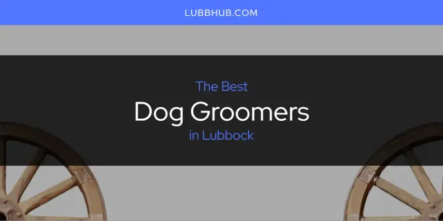 The Absolute Best Dog Groomers in Lubbock  [Updated 2024]