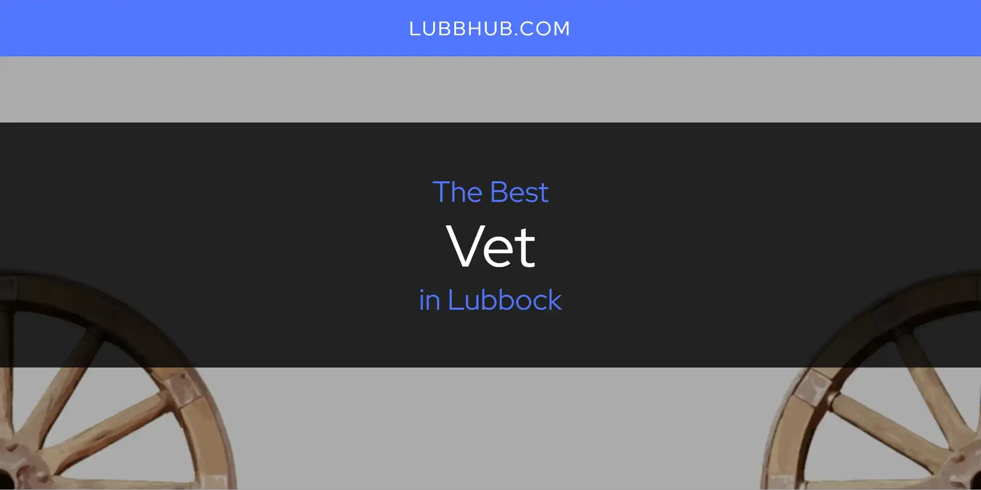 Lubbock's Best Vet [Updated 2024]
